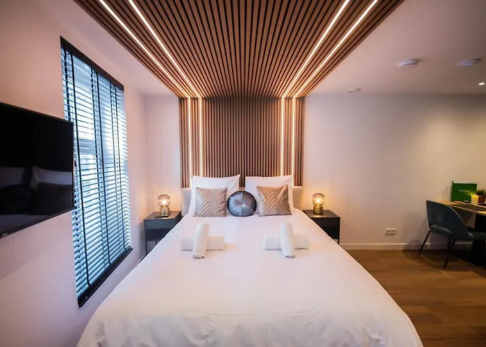 Luxurious 35m2 Designer - R51a Eindhoven